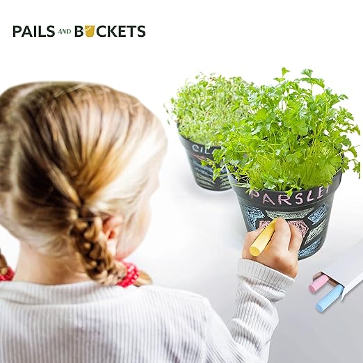 Herb Gardening Kit for Kids and Adults | Indoor or Outdoor Herb Gardening Kit | STEM Learning for Littles | Complete Set with Seeds, Dirt, Pots and How to Booklet! Ages 3+